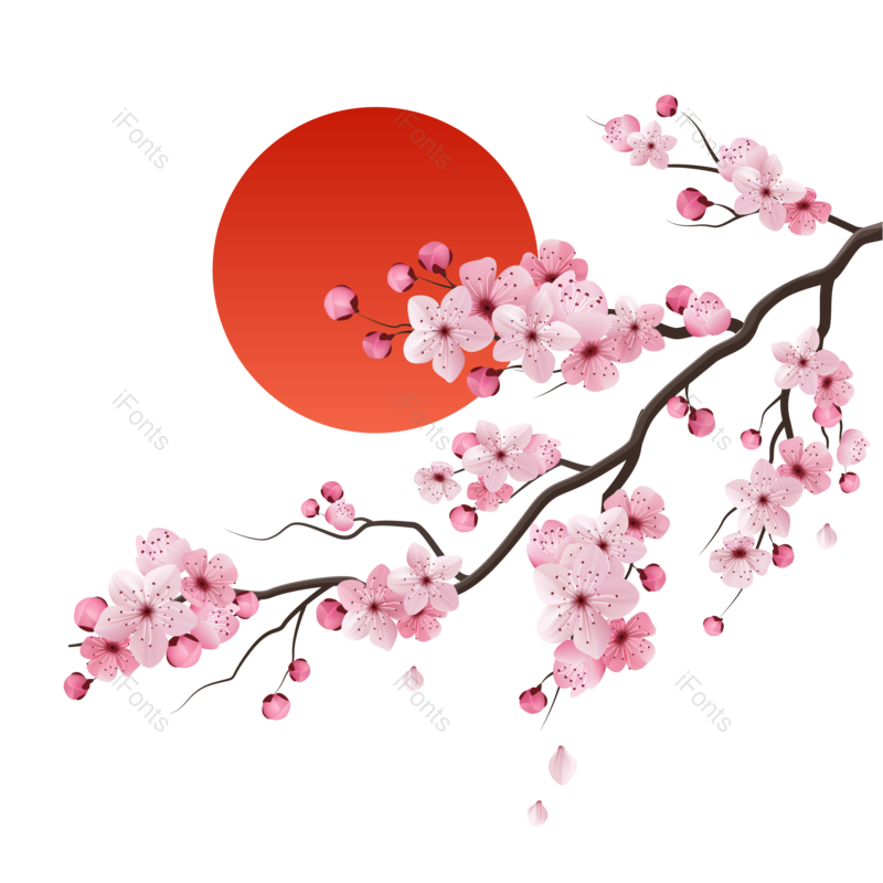 元素图片,素材元素,树枝PNG,设计元素免抠素材